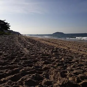 https://apartamentos-de-penha.santa-catarina-brasil.com